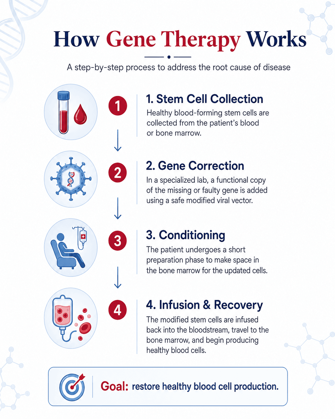How gene therapy works: stem cell collection, gene correction, conditioning, and infusion & recovery