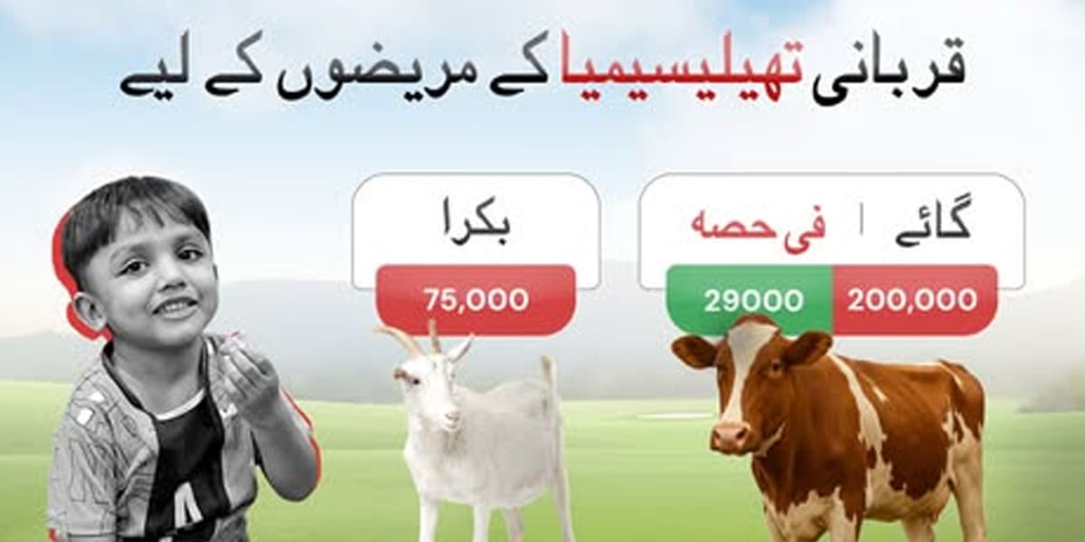 Donate Your Qurbani to Sundas Foundation and Help Thalassemia Patients